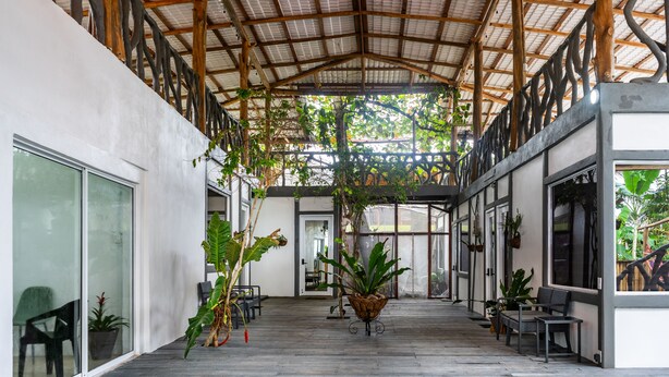 A covered outdoor area with a wooden ceiling, potted plants, and seating. - El Deseo Serendipity Hotel (Colorado)