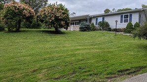 A residential property with a well-maintained lawn, a large flowering tree, and a house with a porch.