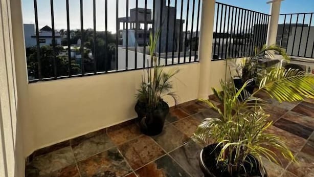 Terrace/patio - Loba Hostel Bucerias (Bucerías)