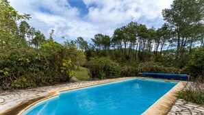 Ein rechteckiger Swimmingpool mit Steinrand, umgeben von üppiger Vegetation und hohen Bäumen.