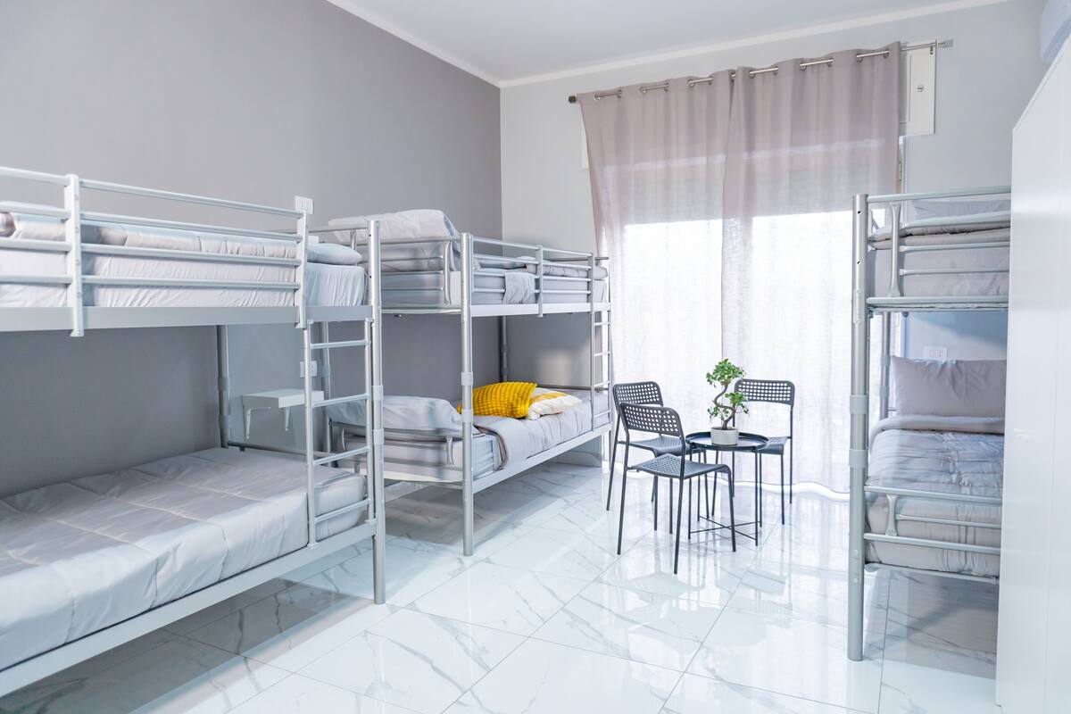 A dormitory room with bunk beds, a small table, chairs, and a potted plant.