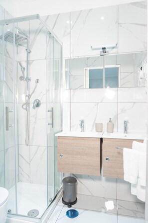 Ducha, cabezal de ducha tipo lluvia, secador de pelo, bidet