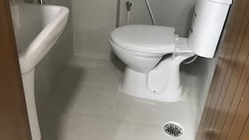 Chuveiro, secador de cabelo, bidê, toalhas de banho