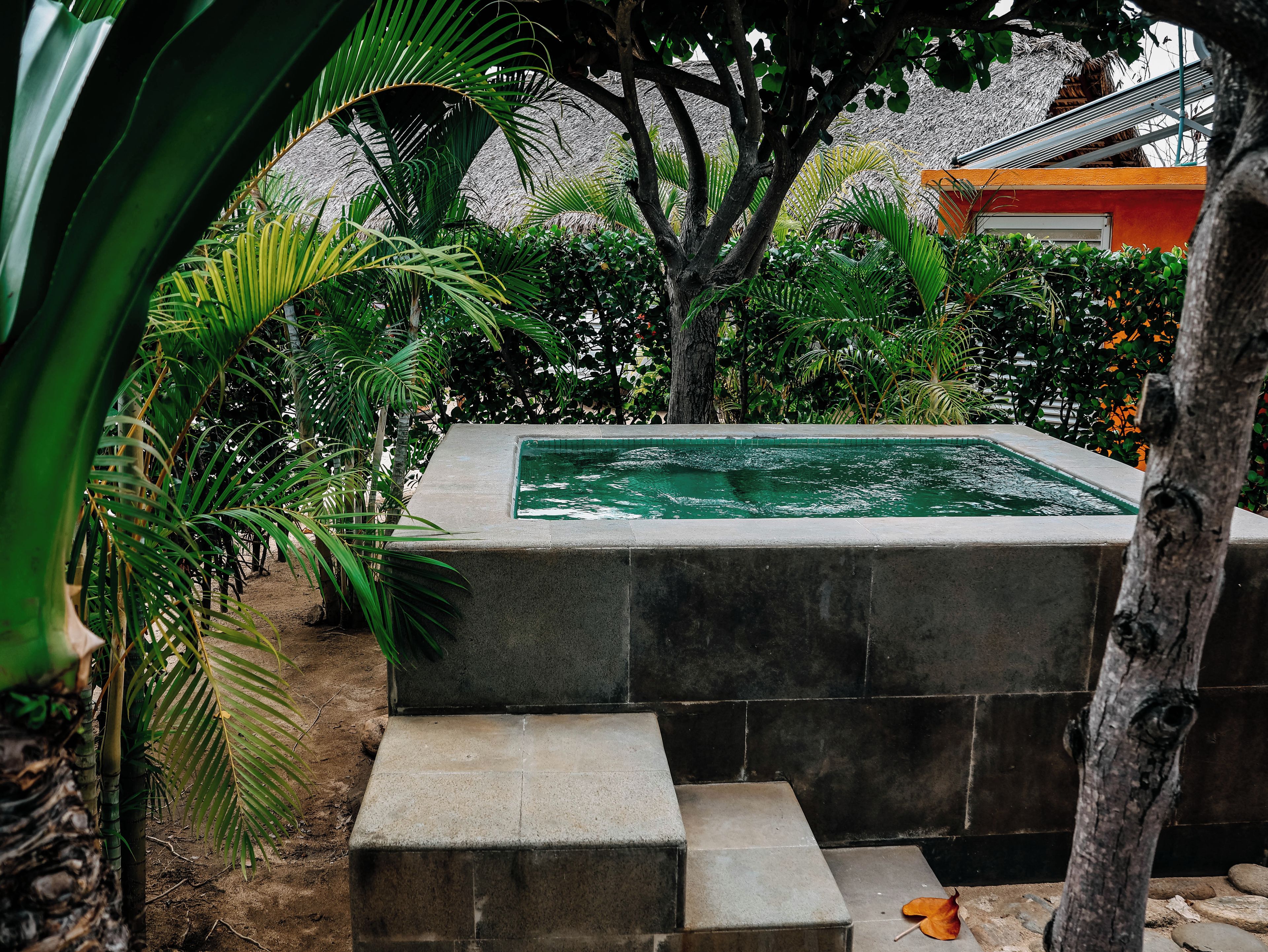 A swimming pool surrounded by lush greenery, with a stone structure and steps leading down to the water.
