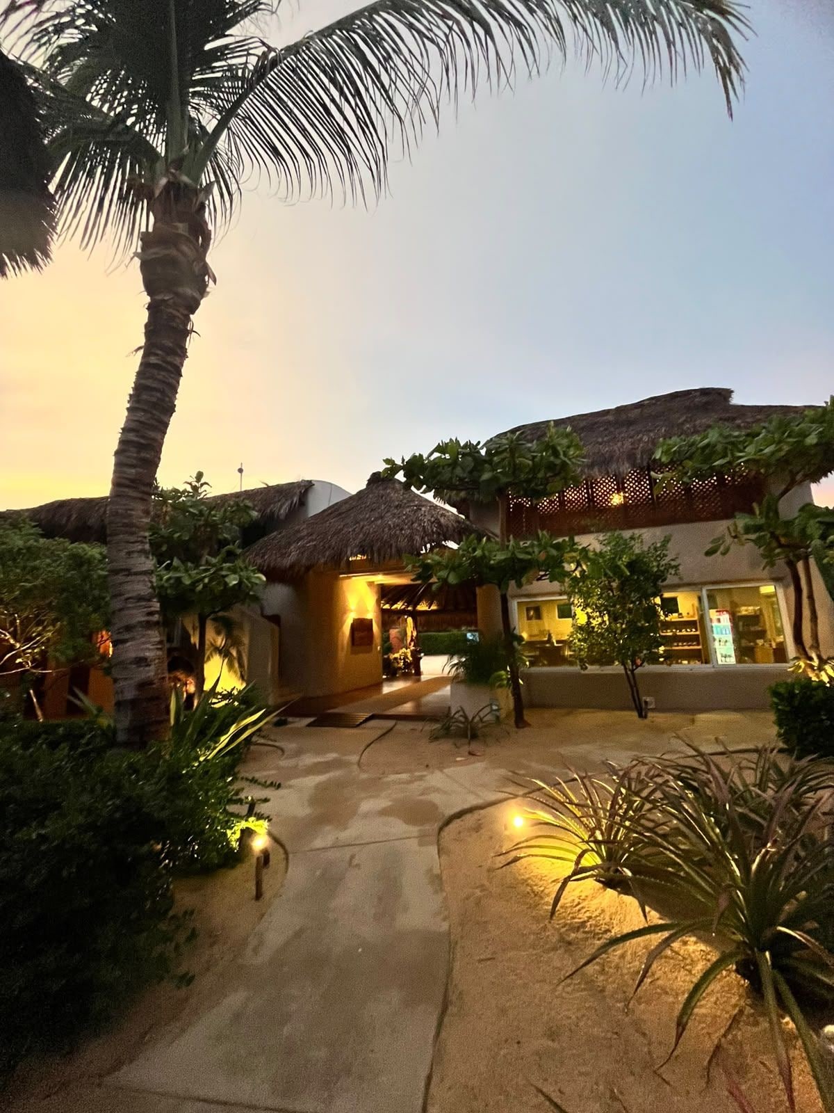 A resort with thatched-roof buildings, palm trees, and a paved walkway.
