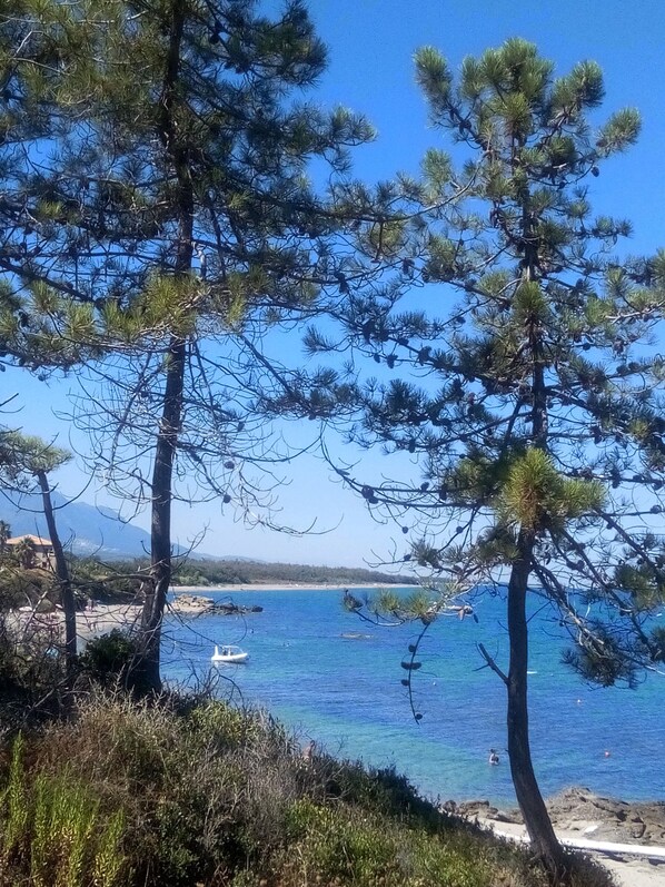 Beach - Vue mer Appartement Lumineux 6 Pers. Marines de Bravone Linguizzetta Corse (linguizzetta)