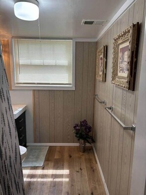 Hair dryer - The Quiet Comfort - Spacious Lower Units Steps from Main Str (Cambridge)