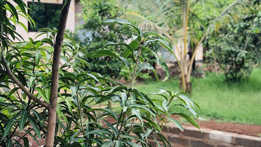 Kilibase Hotel