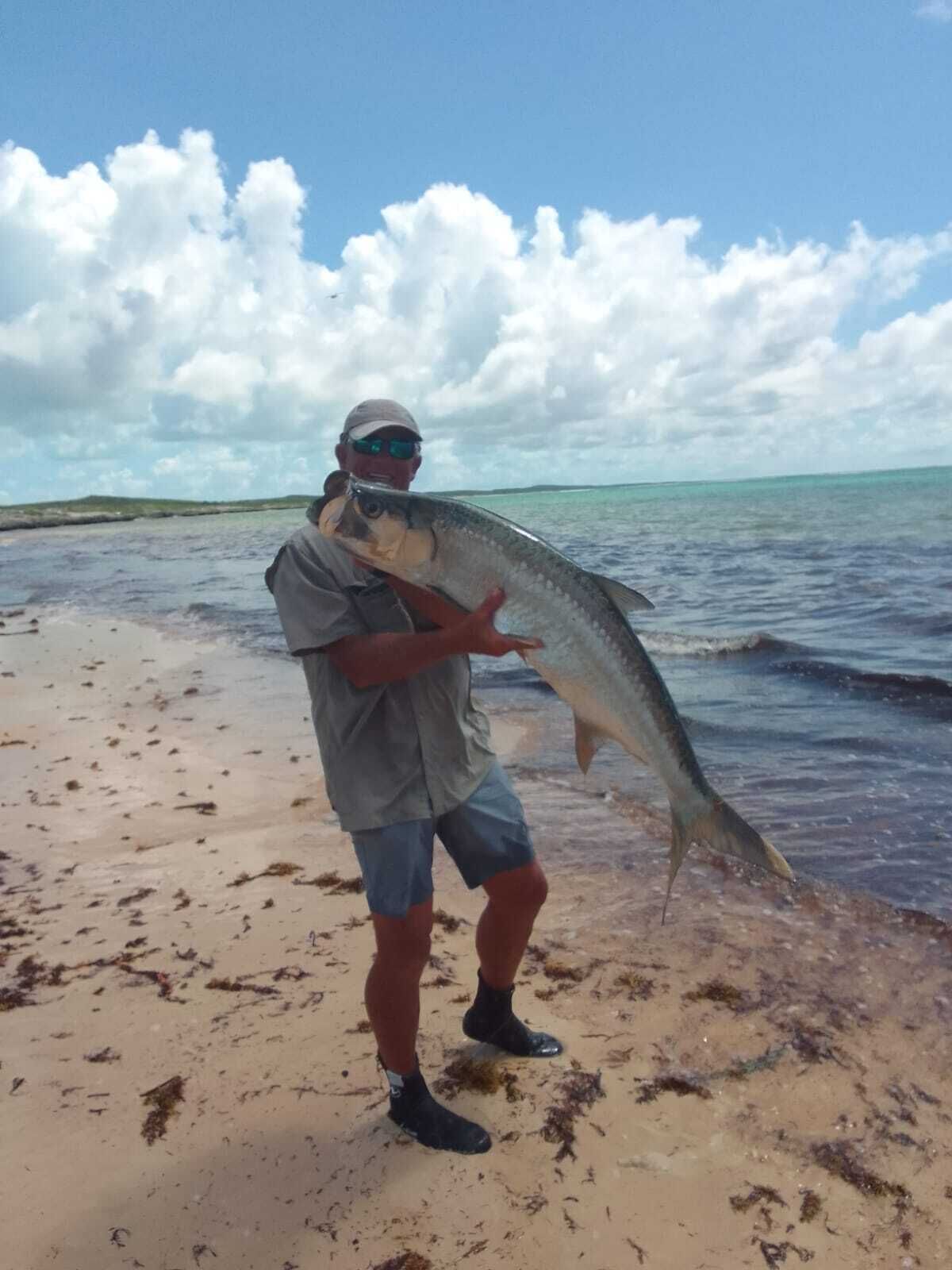 A person holding a large fish on a beach with a clear sky and calm sea in the background.