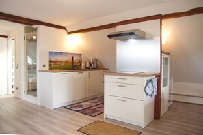 Fridge, microwave, stovetop, dishwasher - Studio Traumzeit mit Balkon in Vorstadtvilla (Dresden)