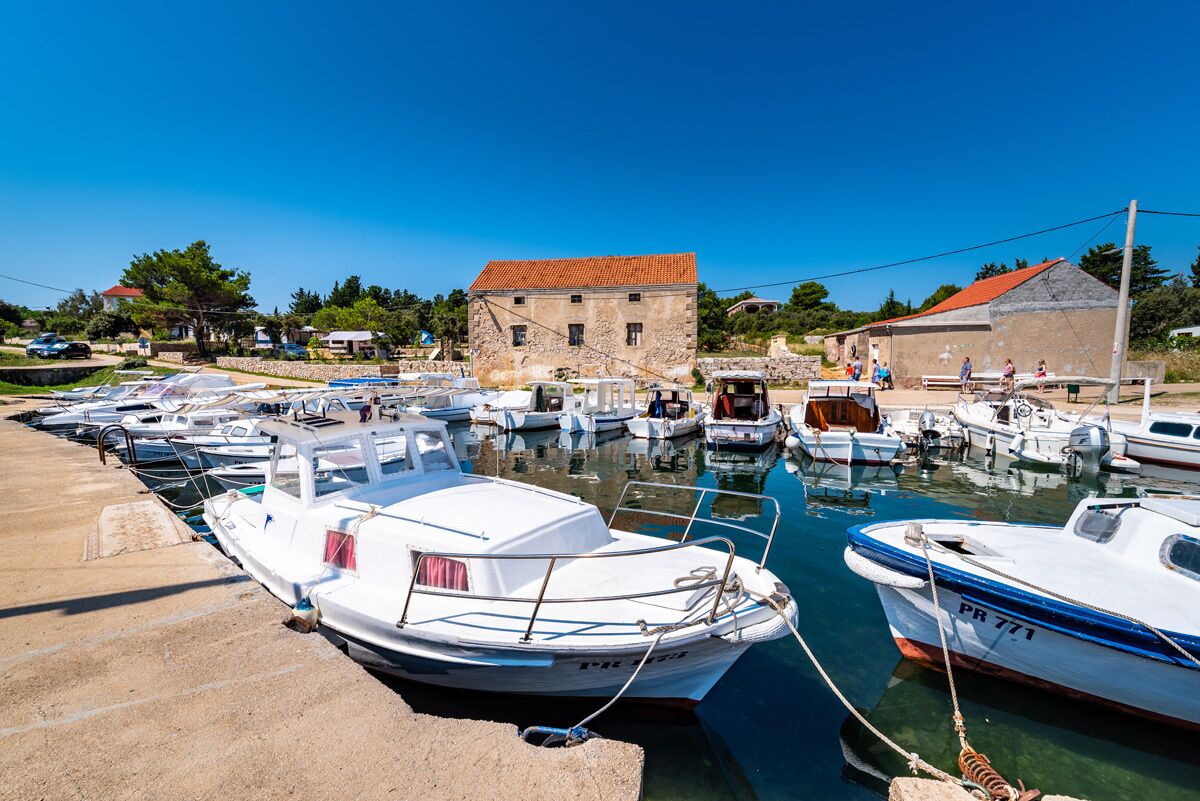 Fælles sovesal - 1 soveværelse - ryger - terrasse | Marina