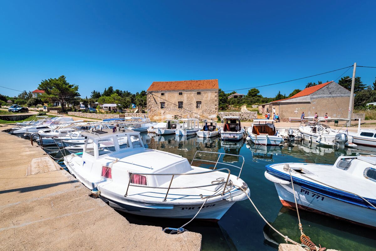 Shared Dormitory, 1 Bedroom, Smoking, Patio | Marina