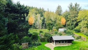 Eine rustikale Holzhütte mit steinernen Fundamenten, umgeben von üppiger Vegetation und hohen Bäumen.
