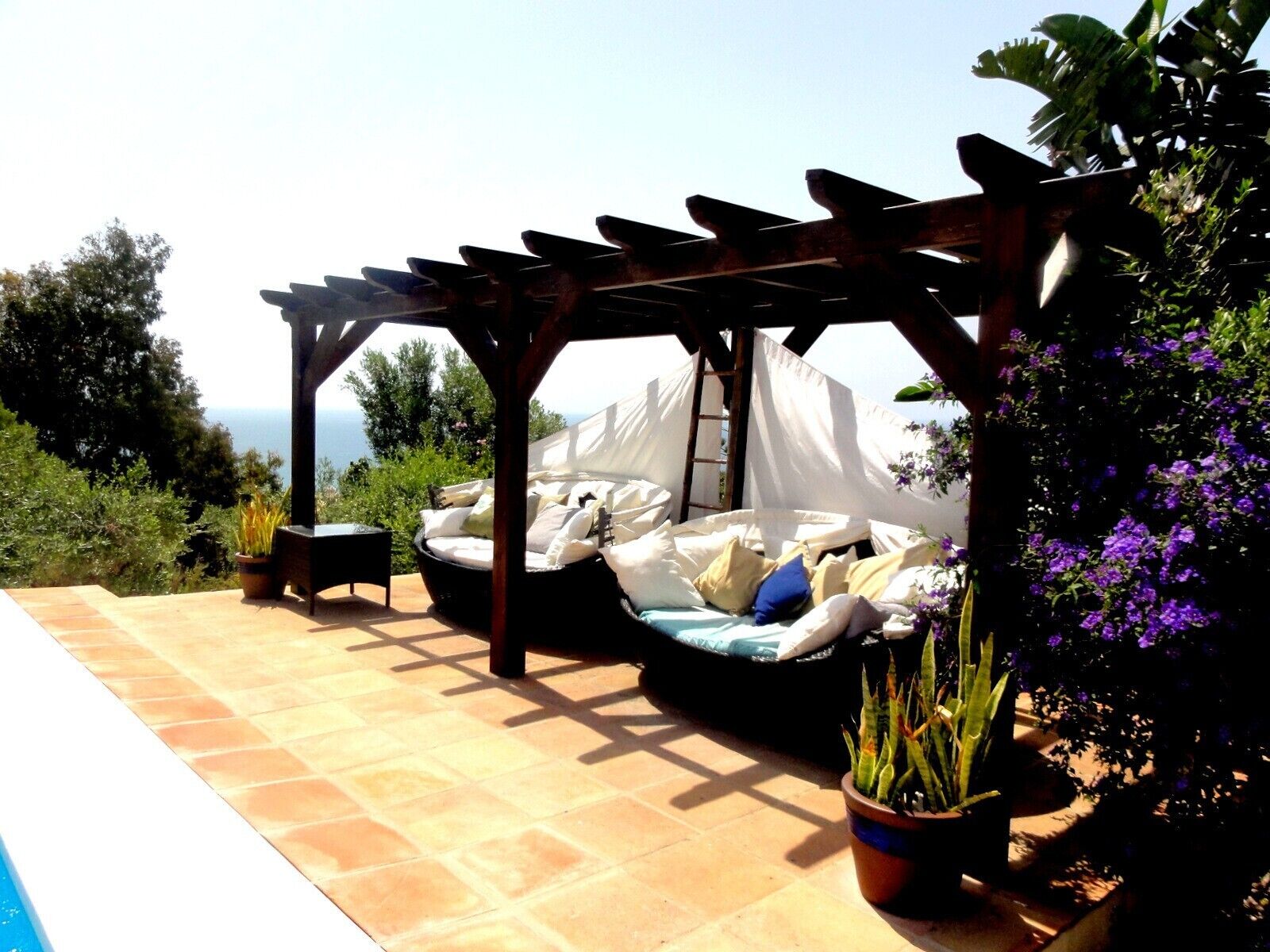 Terras