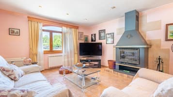 TV, fireplace, table tennis