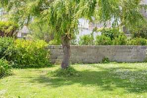 A tree-lined outdoor area with a stone wall and a grassy lawn.