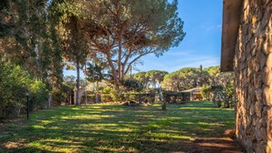 Un mur de pierre, une zone herbeuse et des arbres.