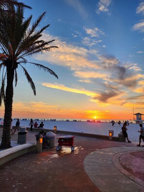 Beach - Artsy spacious 2/2 mid/longterm retreat 10 min to Clearwater beach (Clearwater)