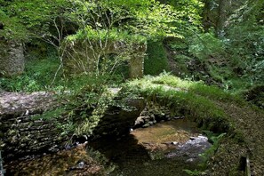 Chalet | Property grounds - Satchwell Chalet on Reelig Estate - Dog Friendly (Inverness)