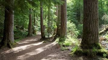 Chalet | Property grounds