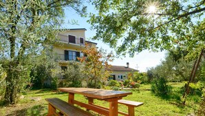 Ein Holztisch für ein Picknick in einer grünen Wiese, im Hintergrund ein Gebäude.