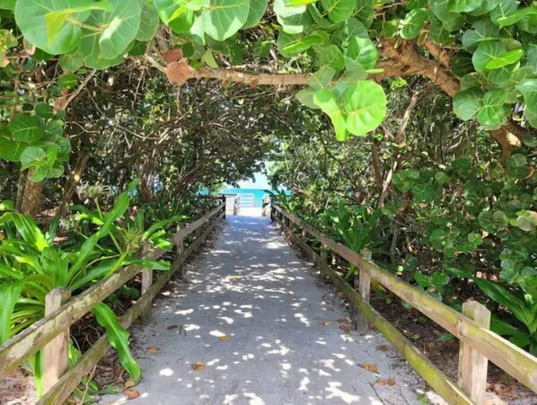 Property grounds - Our Garden of Eden-private Suite 0.4 mi from Beach (Satellite Beach)