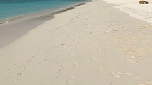 A wide, sandy beach with footprints leading to the water, surrounded by dense greenery and a clear sky.