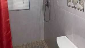 A small, enclosed shower area with a showerhead and a handheld shower attachment.