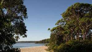 A beach with a clear view of the sea, surrounded by dense trees. - Porpoise Palace - Huskisson (Huskisson)