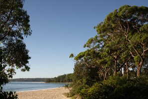A beach with trees and a clear sky.