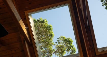 Porpoise Palace - Huskisson