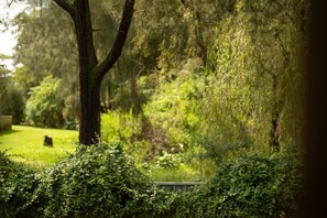 Un jardín exuberante con diversos árboles y arbustos, un sendero despejado y un banco.