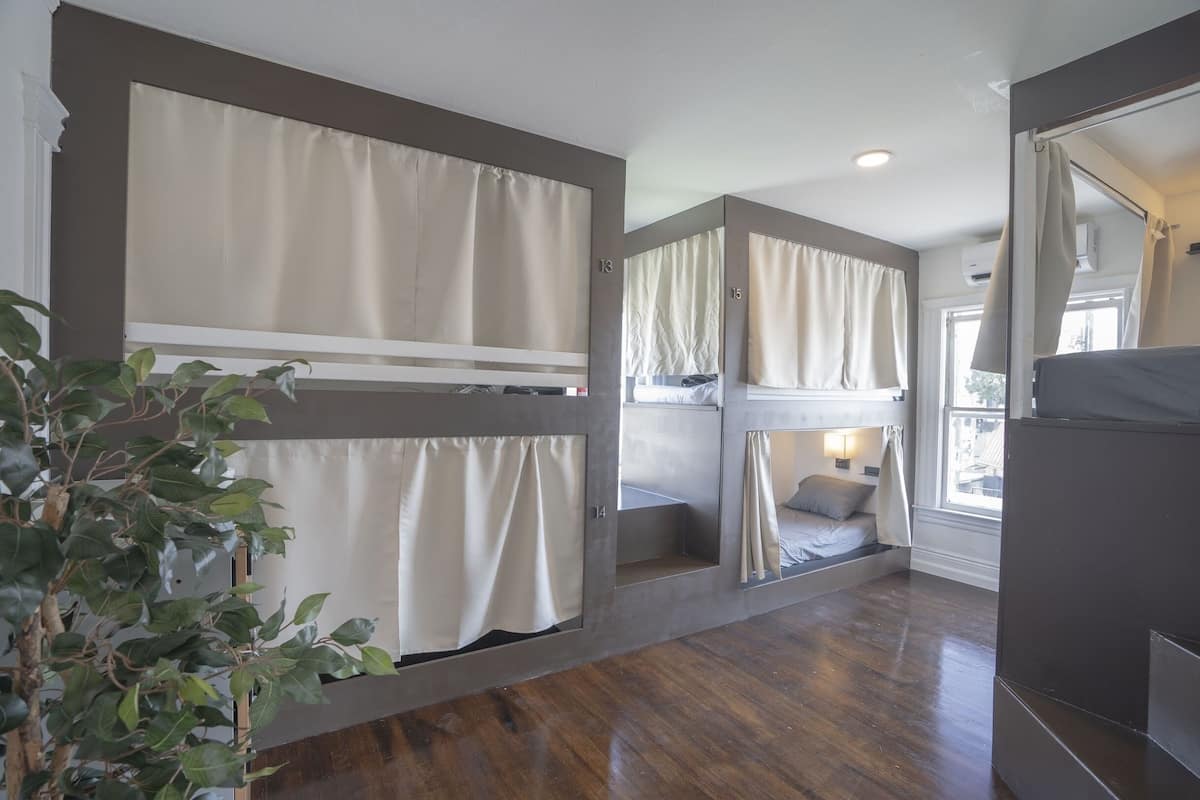 Quarto de hotel com beliches, uma planta e uma janela com cortinas.