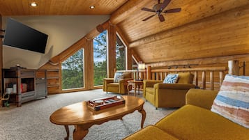 Smart TV, fireplace, DVD player, books