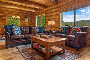 智能电视、壁炉、DVD 播放器、书