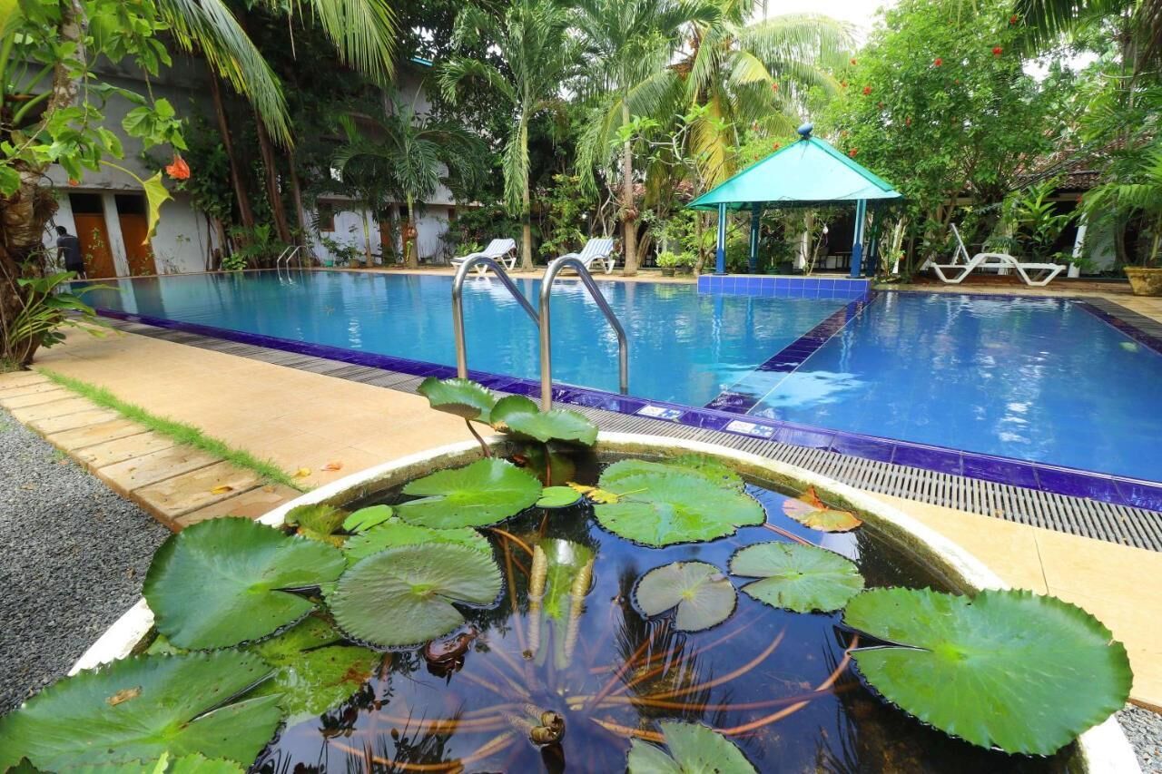 Una piscina con un pequeño estanque al frente, rodeada de abundante vegetación y un pabellón.