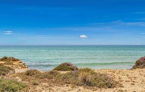 Beach nearby, fishing