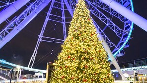 A large, decorated Christmas tree in front of a Ferris wheel. - Hotspot Value in Downtown MTL (Montréal)