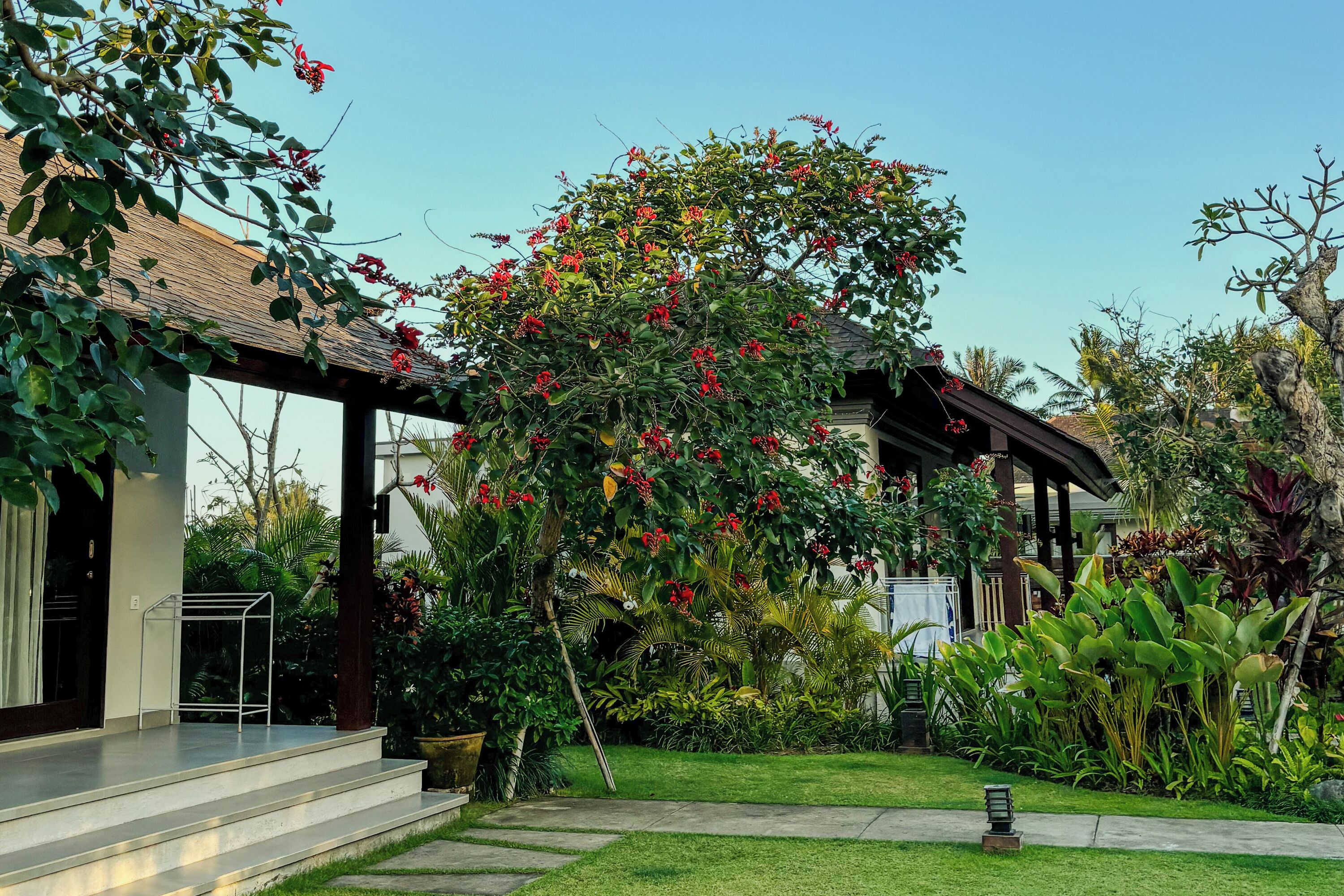 A covered outdoor area with steps leading to a building, surrounded by lush greenery and flowering plants.