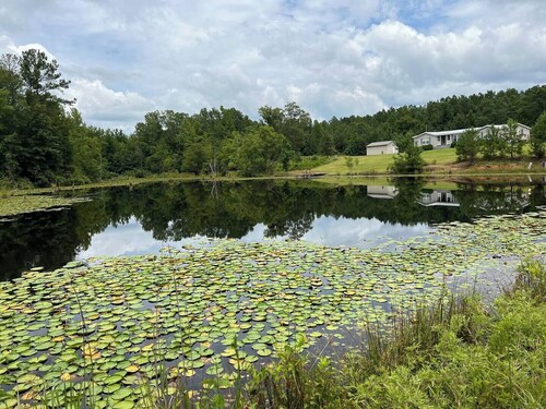 Catch and Relax! Private Family friendly house w/ 5 acre fishing pond.