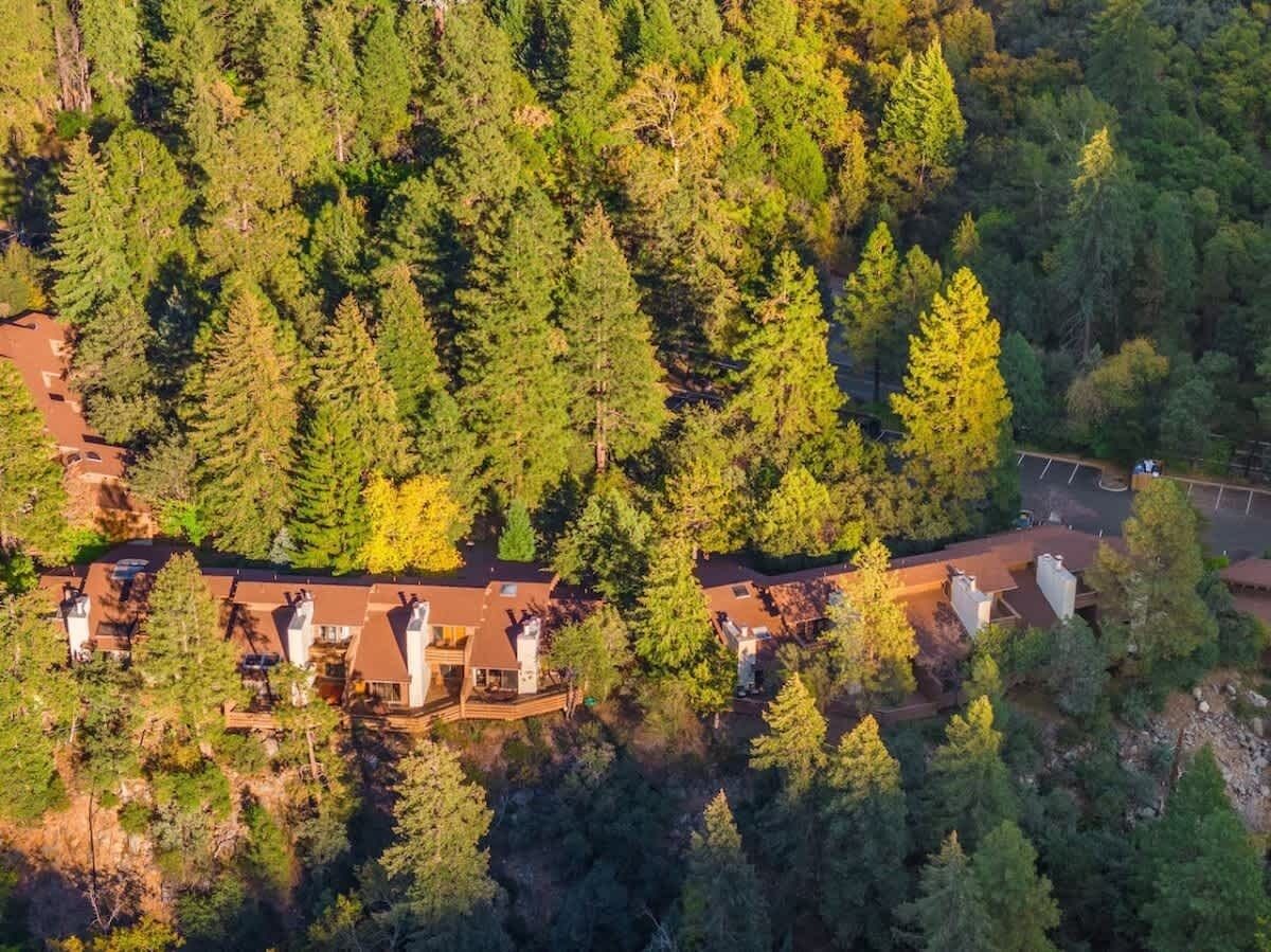 A forested area with multiple buildings, likely a resort or lodge, with a clear path and a parking area.