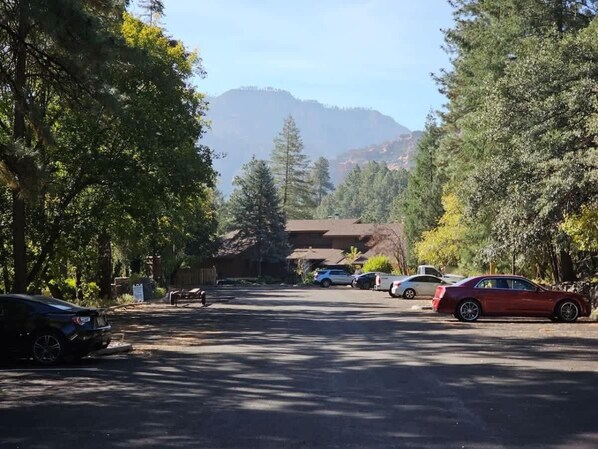 A parking lot with several cars, surrounded by trees and a mountain in the background.