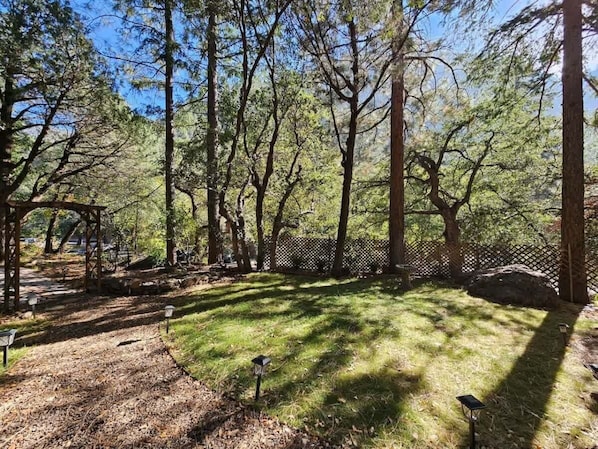 A forested area with a wooden structure, a fenced area, and a clear sky.