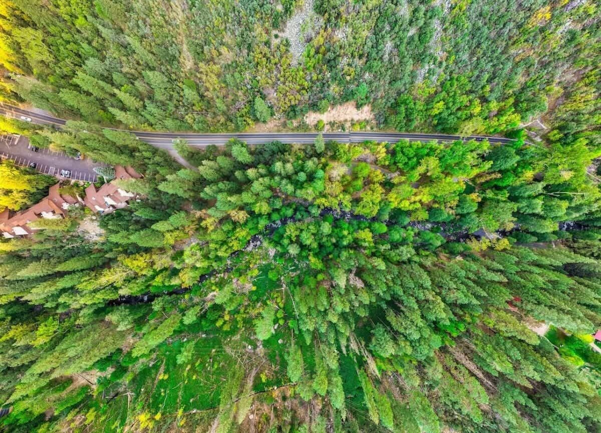 An aerial view of a forested area with a road running through it.