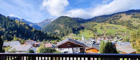 Área da propriedade