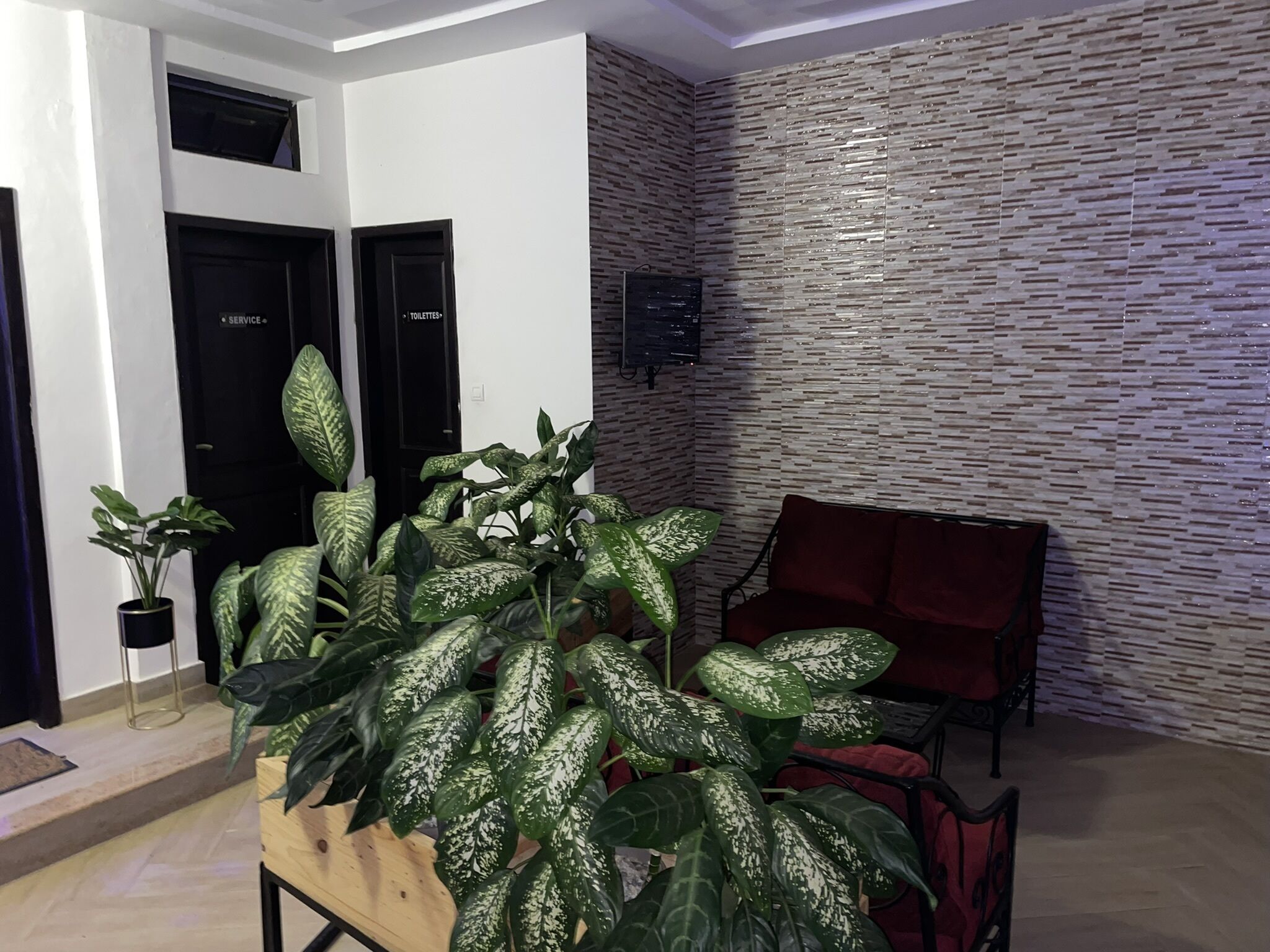 A living room with a large potted plant, a red sofa, and a wall with a textured pattern.