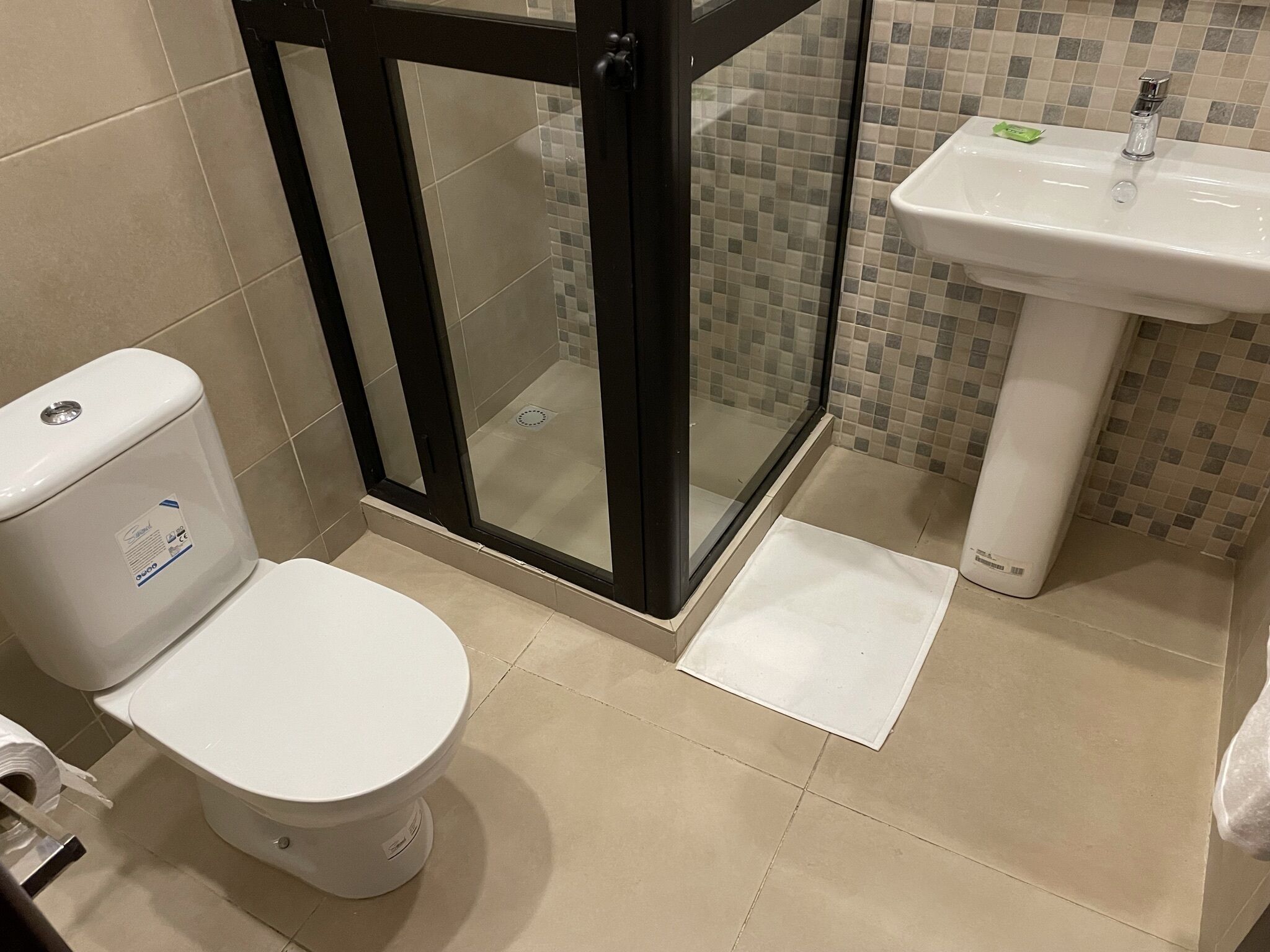 A bathroom with a toilet, a glass shower enclosure, and a sink.