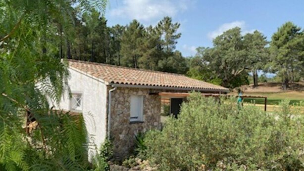 A stone building with a tiled roof, surrounded by greenery and trees. - Maison de Campagne, en Pleine Nature (Sari-Solenzara)