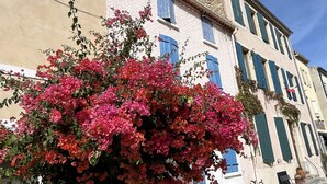 Ein Gebäude mit weißer Fassade, blauen Fensterläden und einem rosafarbenen Busch im Vordergrund.