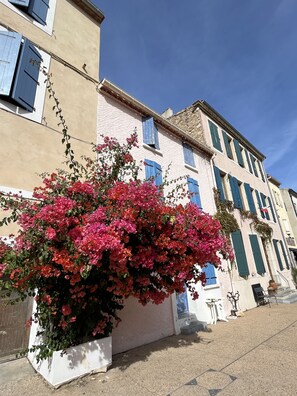 Exterior - 5* Villa, Sea View, Heated Pool, Air Con, WiFi, Wine Village (Fitou)